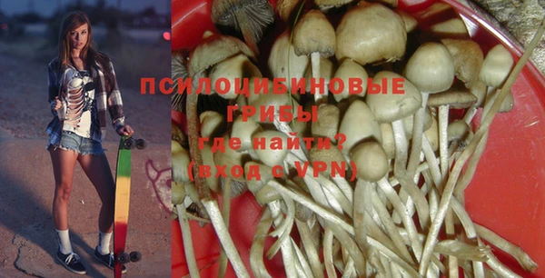 ECSTASY Медногорск