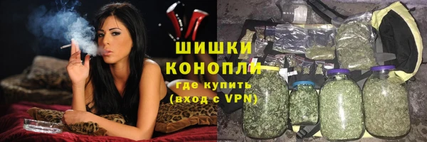 гидра Мегион