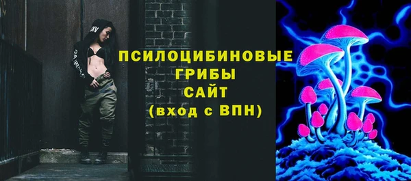 гидра Мегион