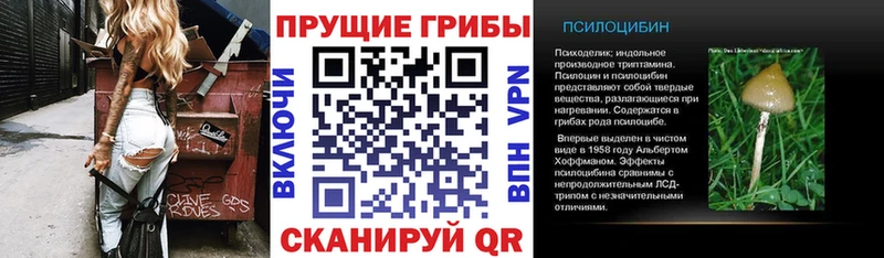 закладка  Белорецк  кракен ONION  Псилоцибиновые грибы мицелий 